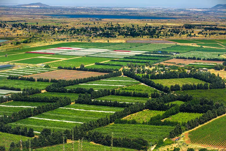 Excursión a Nazaret, Tiberíades y Galilea - Galería 1
