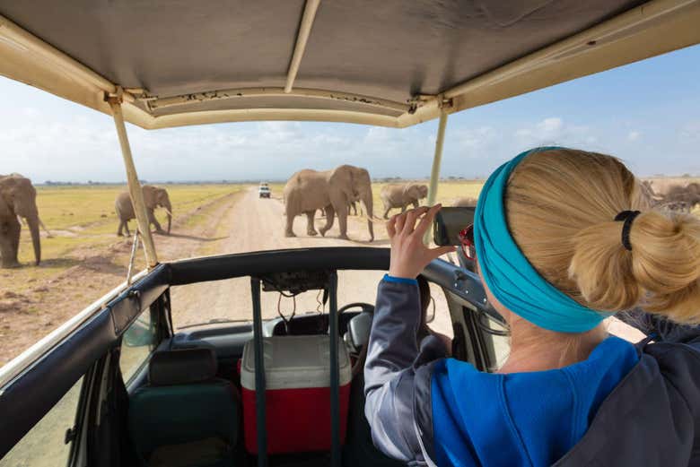 Safari privado de 2 días por el Parque Nacional de Amboseli