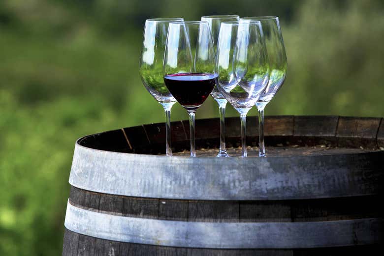 Tour del vino por el Chianti
