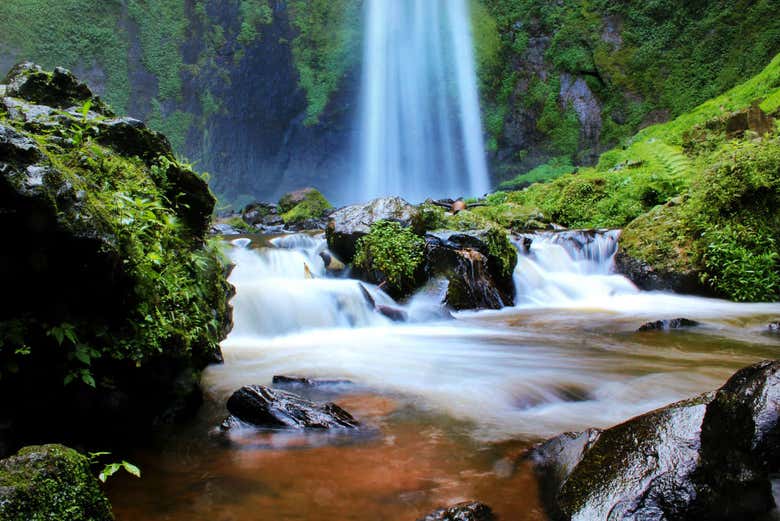 Excursión privada a las plantaciones de té y cascada Cimahi