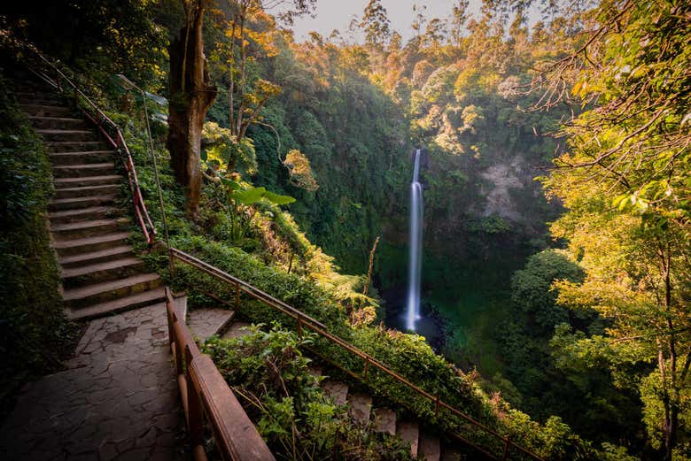Excursión privada a las plantaciones de té y cascada Cimahi