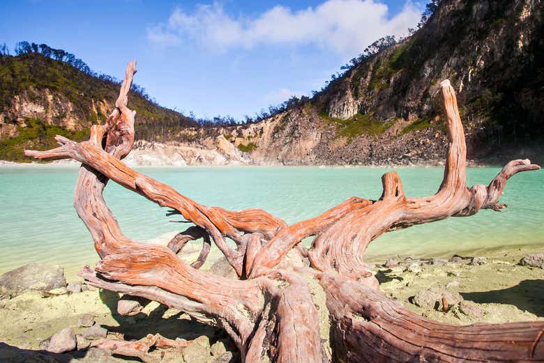 Excursión privada al Cráter Blanco y Rengganis + Reserva de Ciervos
