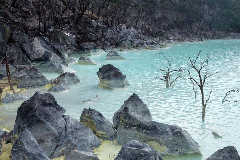 Excursión privada al Cráter Blanco y Rengganis + Reserva de Ciervos