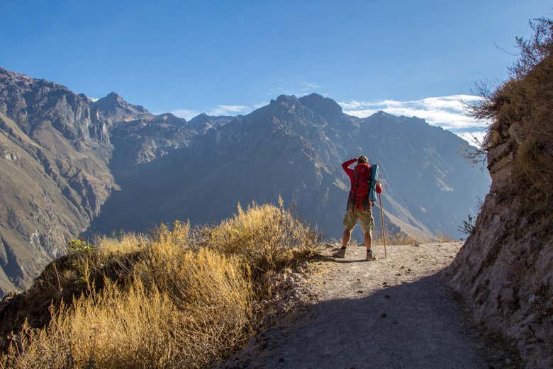 Tour de 2 días por el Cañón del Colca finalizando en Arequipa