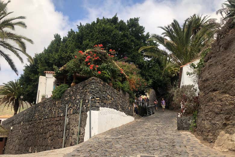 Excursión a Candelaria, La Orotava, Garachico y Masca - Galería 2