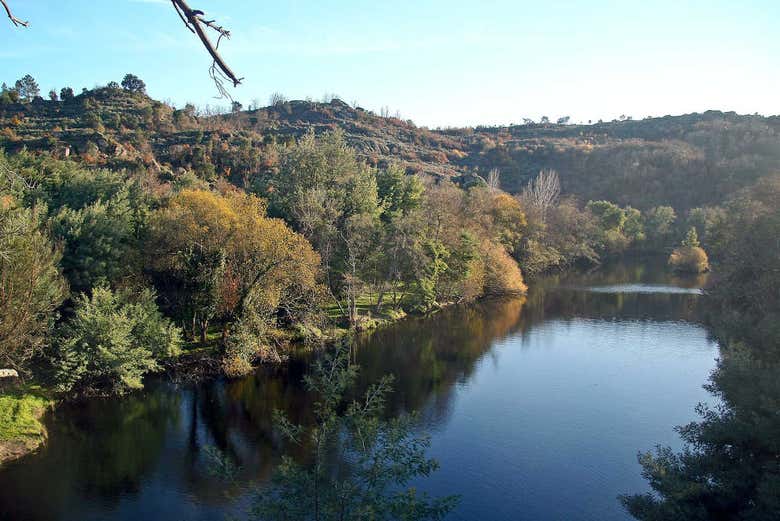 Tour en kayak por el río Mondego