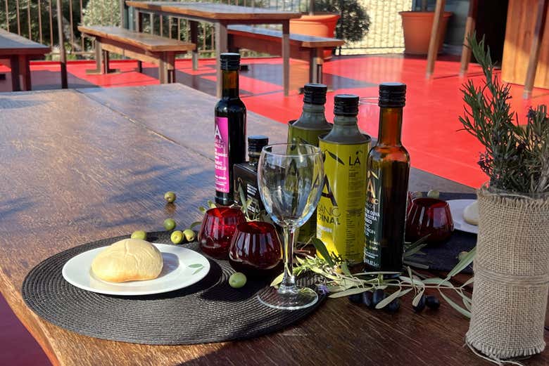 Visita a la finca LA Almazara con cata de aceites