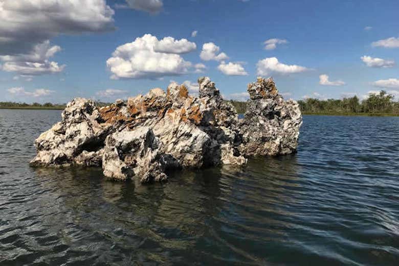 Isla del Bananal y Parque del Cantão en 3 o 5 días