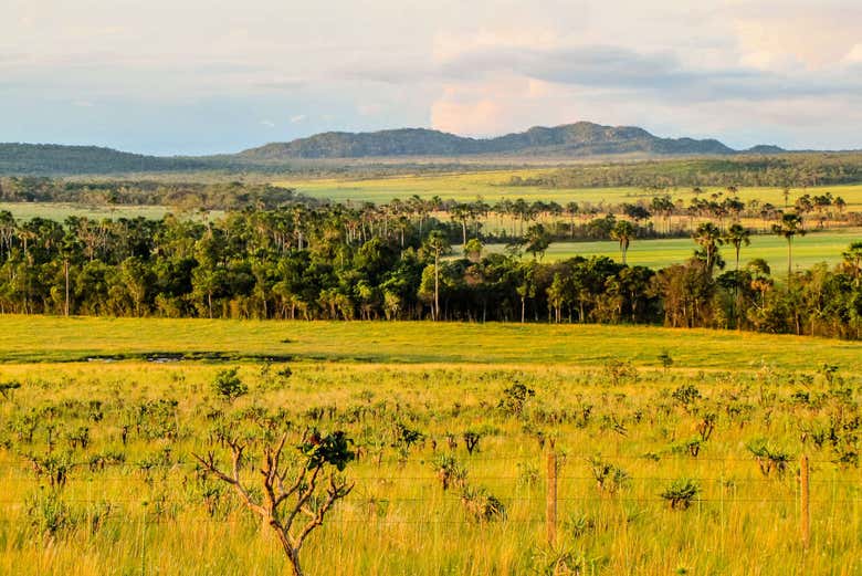 Isla del Bananal y Parque del Cantão en 3 o 5 días