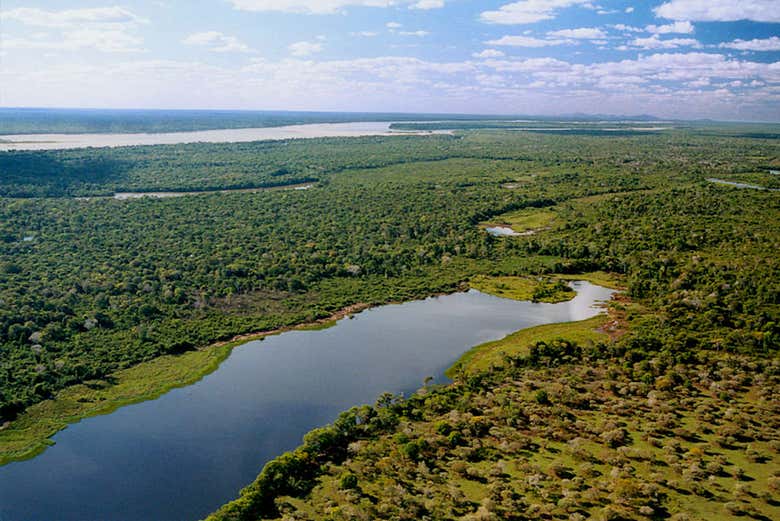 Isla del Bananal y Parque del Cantão en 5 días - Galería 2
