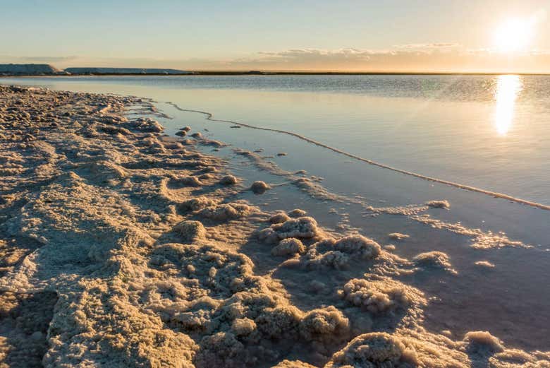 Excursión a las Salinas del Gualicho - Galería 2