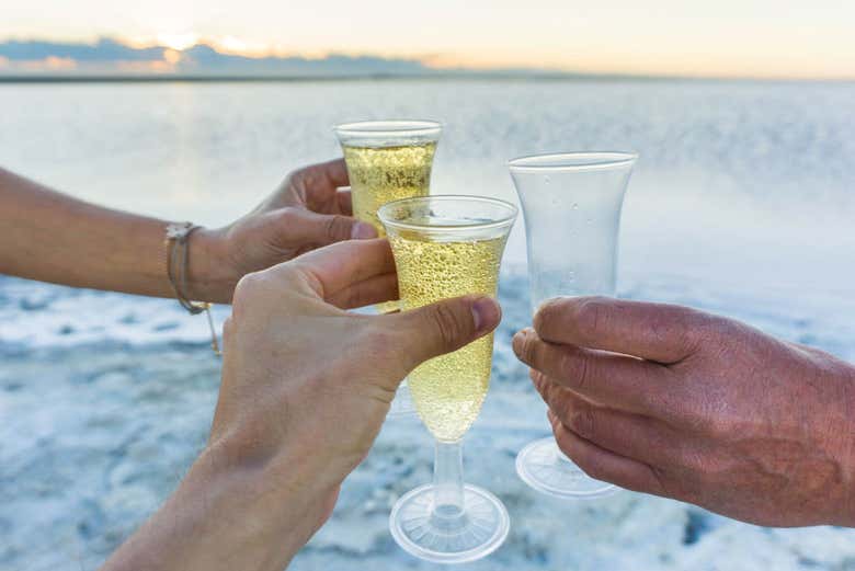 Excursión a las Salinas del Gualicho