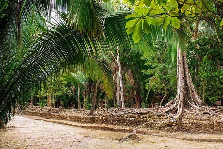 Excursión a Chacchobén para cruceros