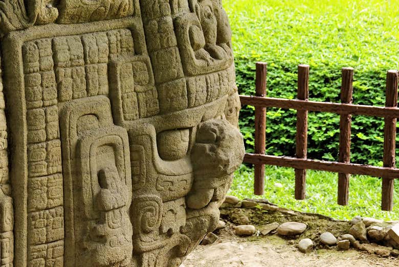 Excursión privada al Parque Arqueológico y Parque de Aves - Galería 1