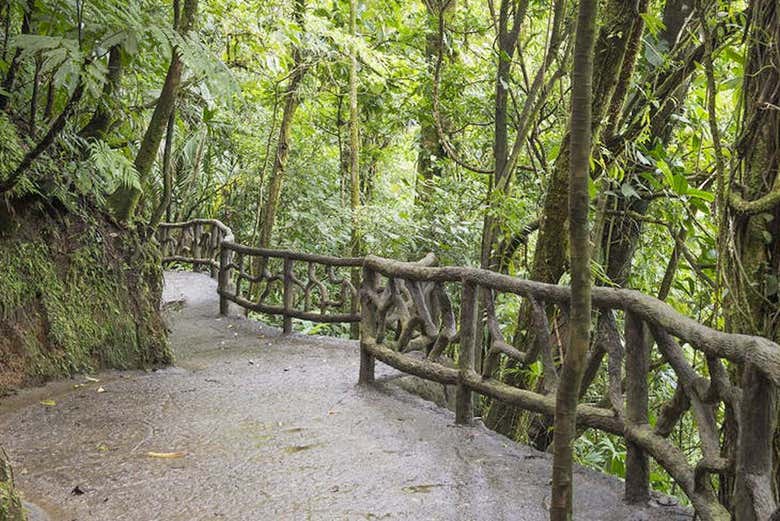 Tour por los puentes colgantes de Arenal