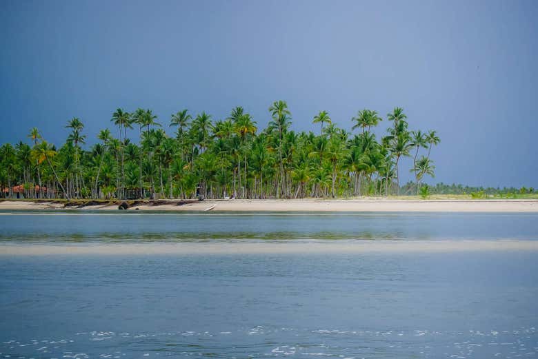 Excursión a la playa Boca de Barra de Boipeba