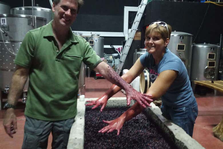 Visita a las bodegas Prior Lucas