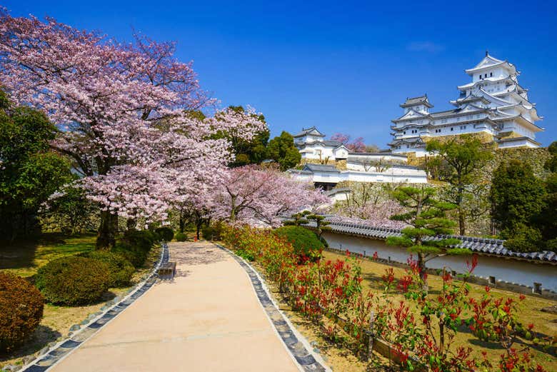Tour privado por Kōbe y Himeji - Galería 2