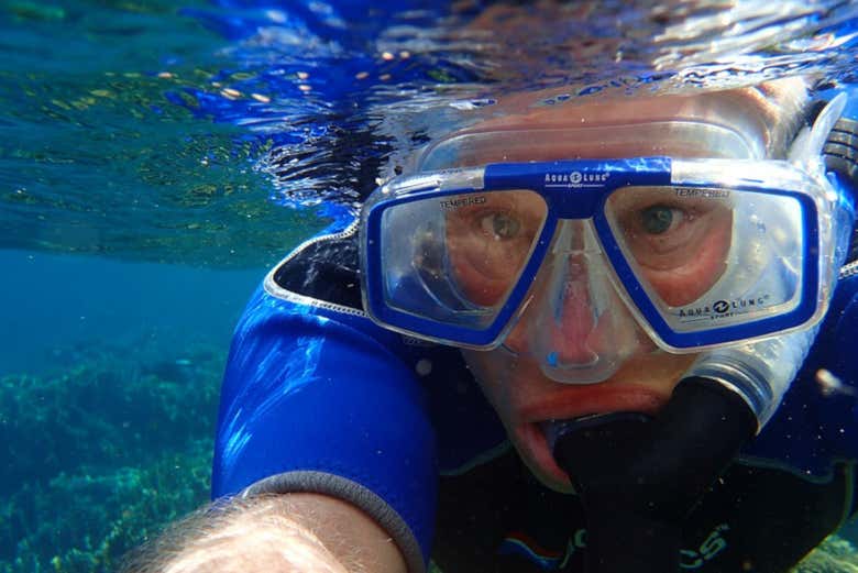 Snorkel en el Parque Natural de Arrábida - Galería 2