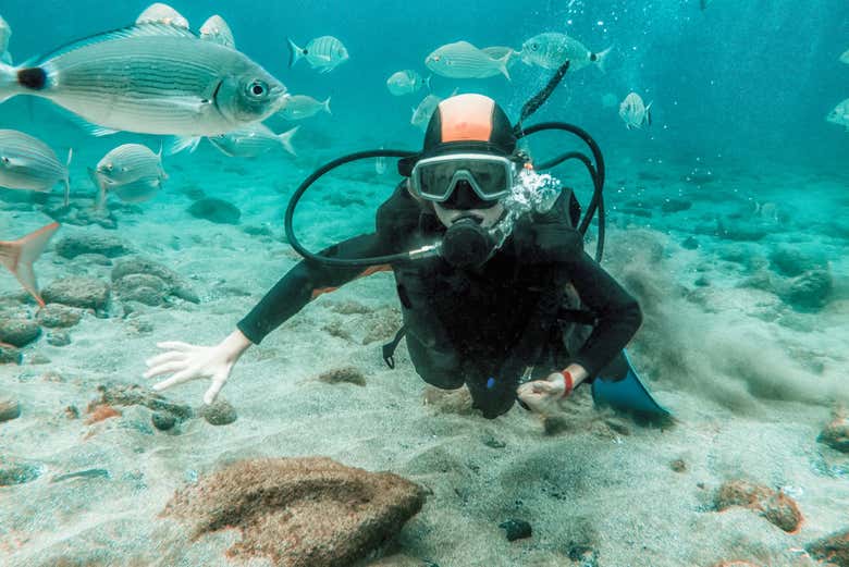 Bautismo de buceo en el Parque Natural de Arrábida