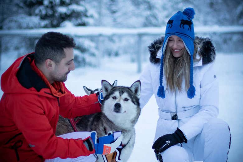 Paseo en trineo de perros husky por Levi