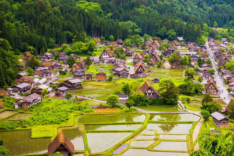 Tour por Shirakawago e Hirayu Onsen