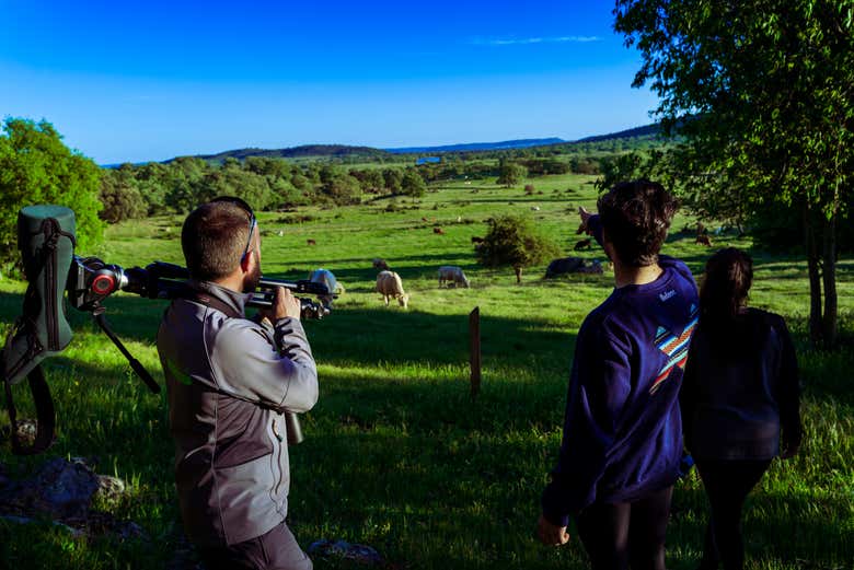 Avistamiento de aves en Monfragüe