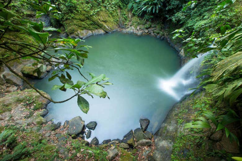 Excursión a la Catarata de Carpishuyacu